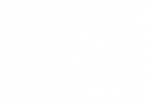 Logo IMF I'm Friend - Communauté véhicules électriques français 