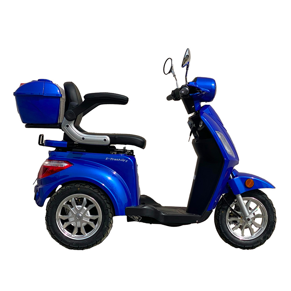 Acheter un scooter électrique en ligne : la mobilité électrique à portée de  clic - Les Nouveaux Scooters