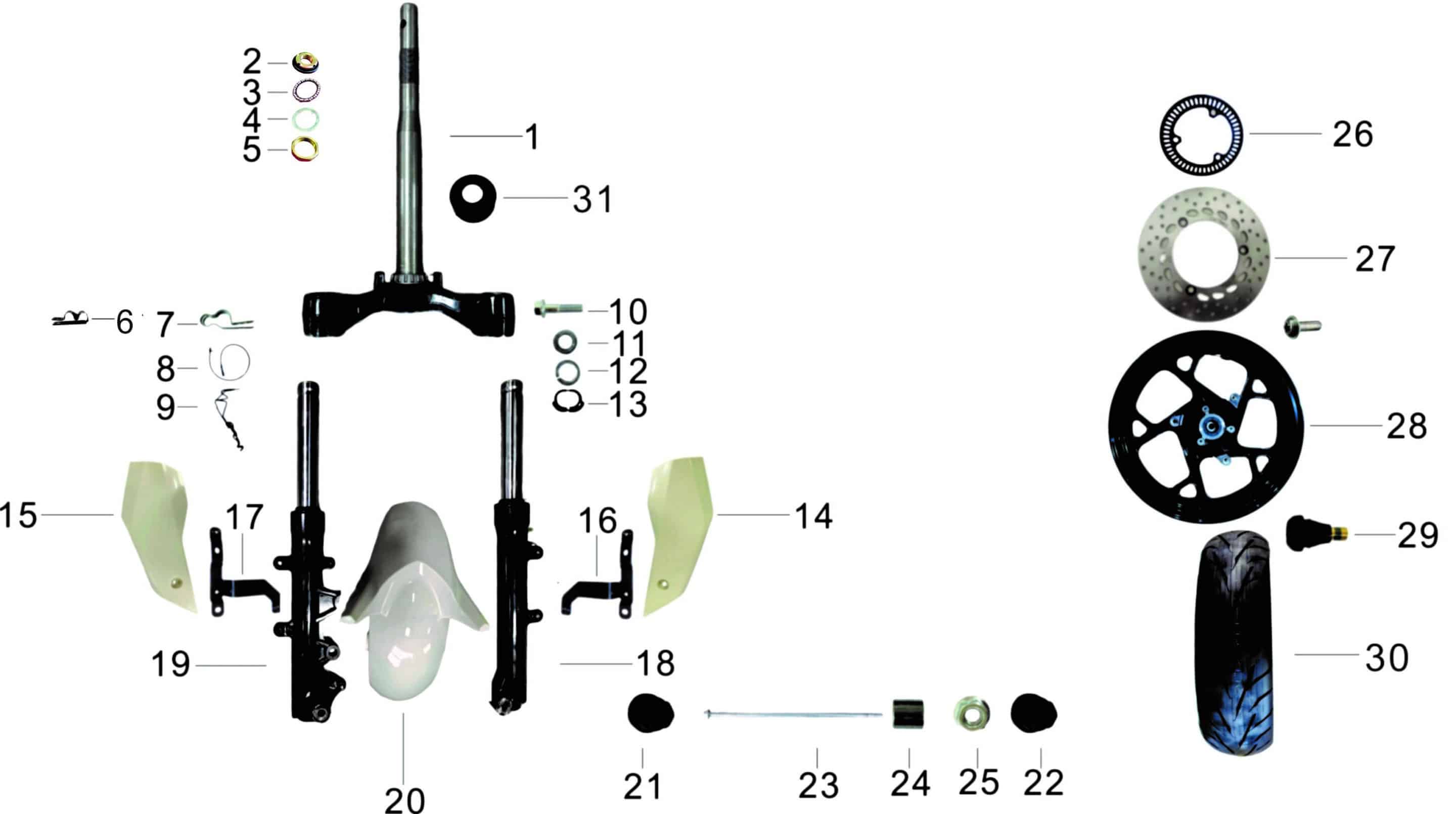 pièces détachées - éclairage - éclairage E-Ptio - scooter électrique